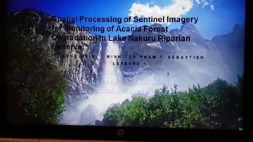 VideoImage