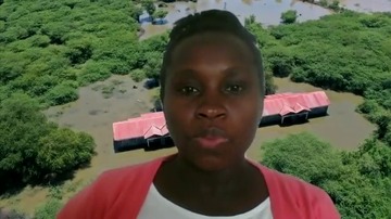 VideoImage
