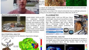 VideoImage