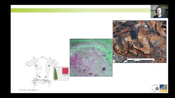 VideoImage